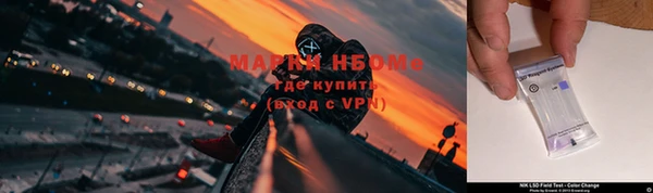 сатива Заводоуковск