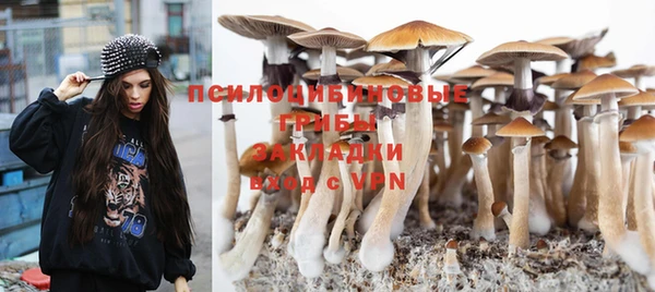не бодяженный Куйбышев