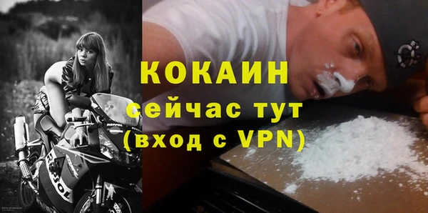 шишки Заволжск