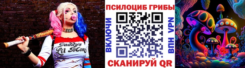 где продают   Шебекино  Псилоцибиновые грибы Psilocybe 