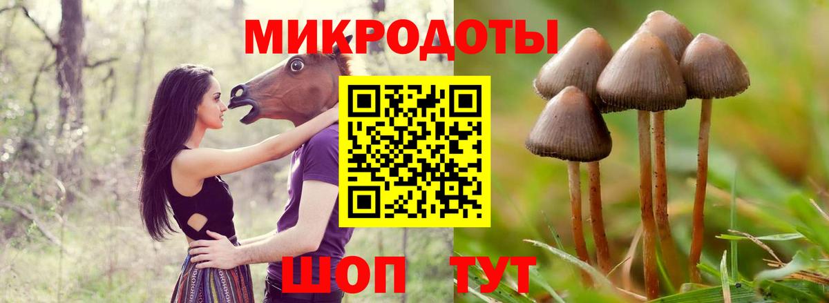 купить наркоту  Вход с VPN  Шебекино  Псилоцибиновые грибы прущие грибы 