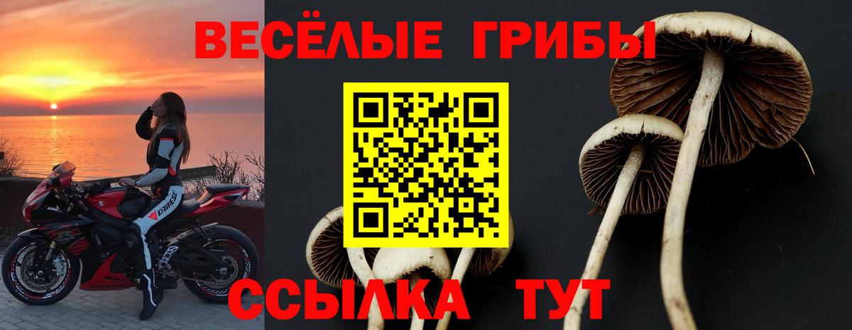 Псилоцибиновые грибы Psilocybe Шебекино