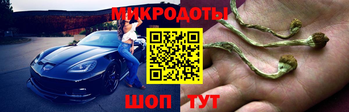 Галлюциногенные грибы Шебекино
